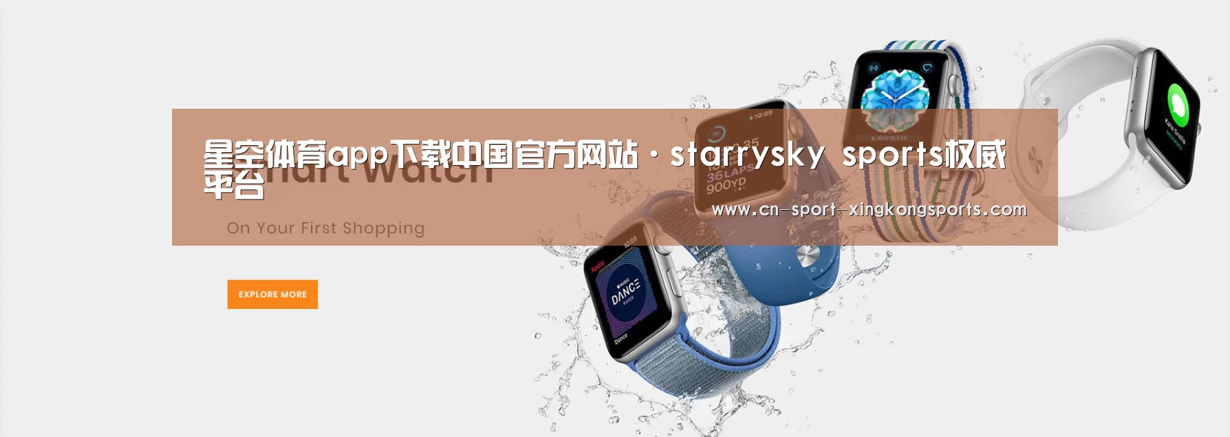 某某网络科技有限公司
