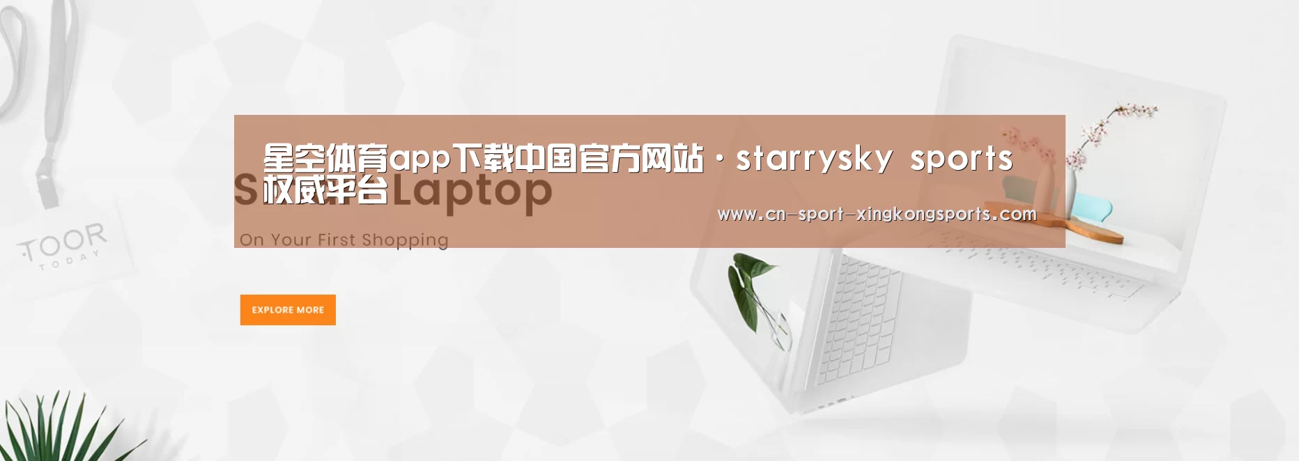某某网络科技有限公司