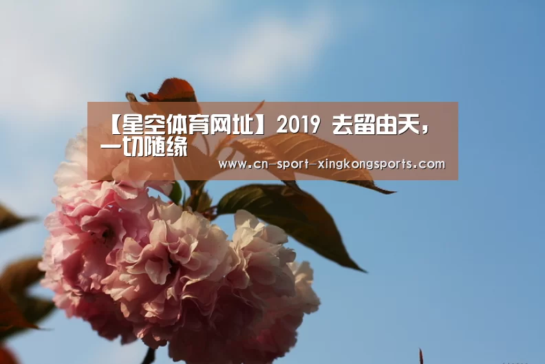 【星空体育网址】2019 去留由天,一切随缘(图2) 星空体育官网