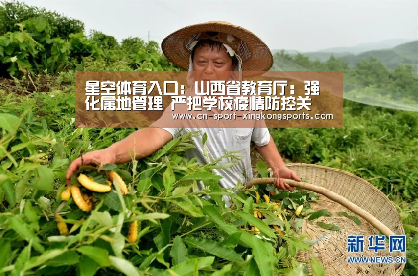星空体育网址