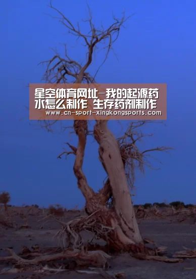 星空体育